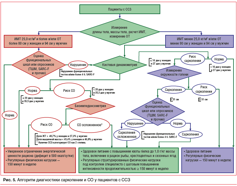 Рис. 5. Алгоритм диагностики саркопении и СО у пациентов с ССЗ
