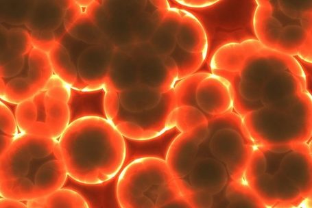 Туберкулез использует иммунную защиту для выживания в организме хозяина