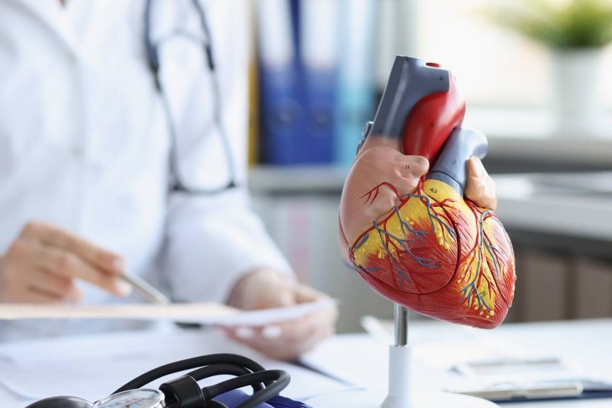 Раскрыт недооцененный фактор развития сердечной недостаточности