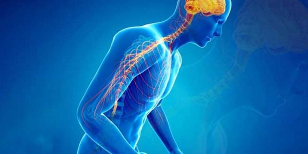 Болезнь Паркинсона может распространяться через иммунные клетки кишечника