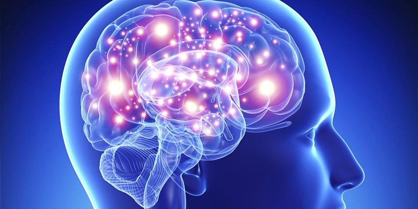 Эксперт назвал топ-10 продуктов, чтобы мозг работал как часы