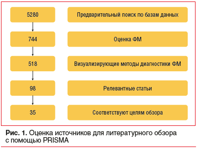 Рис. 1. Оценка источников для литературного обзора с помощью PRISMA
