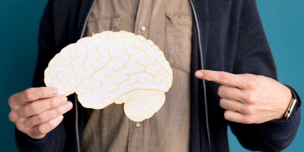 Radiology: скрытые жировые отложения могут уменьшать объем мозга