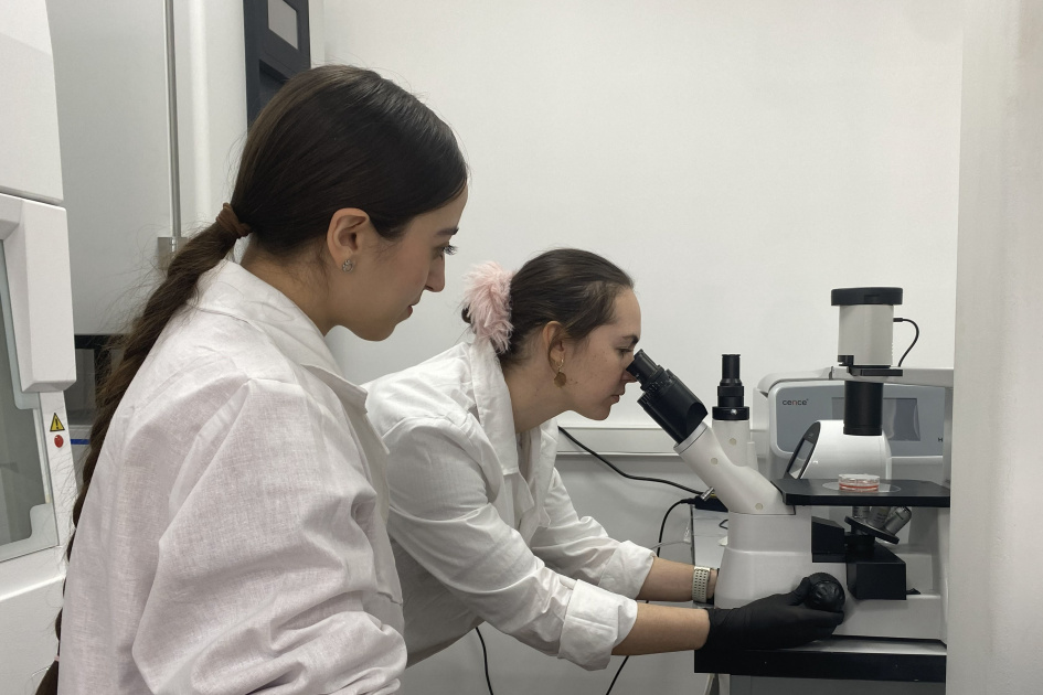 IJMS: гормон роста активирует белки, выкачивающие лекарства из клеток рака