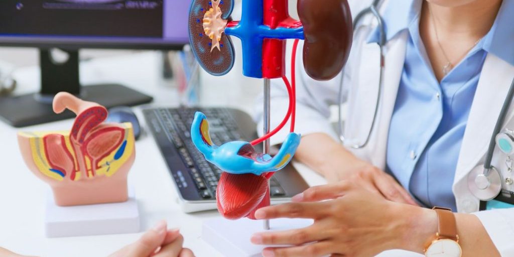 Врач объяснила, что приводит к снижению функции почек