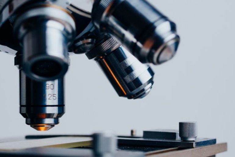 Nature: рак может захватывать иммунные клетки в костном мозге