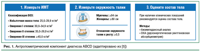 Рис. 1. Антропометрический компонент диагноза ABCD (адаптировано из [5])