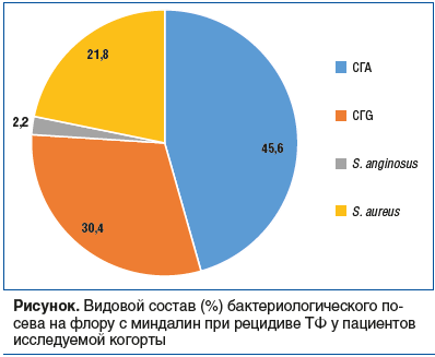 Рисунок. Видовой состав (%) бактериологического по- сева на флору с миндалин при рецидиве ТФ у пациентов исследуемой когорты