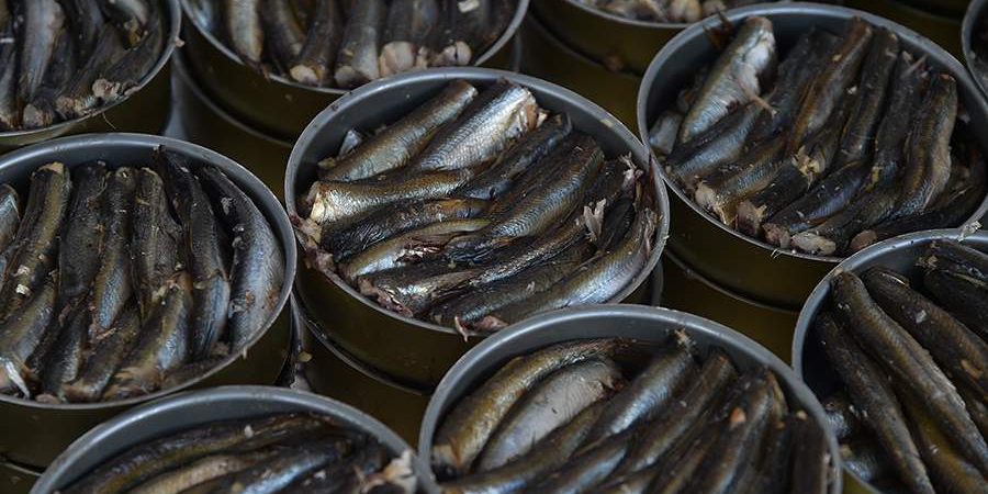 Диетолог рассказала, чем грозит употребление шпрот