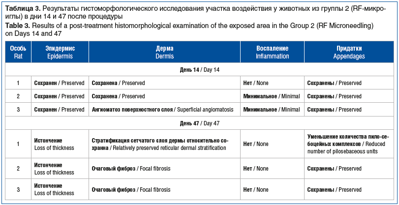 Таблица 3. Результаты гистоморфологического исследования участка воздействия у животных из группы 2 (RF-микро- иглы) в дни 14 и 47 после процедуры Table 3. Results of a post-treatment histomorphological examination of the exposed area in the Group 2 (RF M Таблица 3. Результаты гистоморфологического исследования участка воздействия у животных из группы 2 (RF-микро- иглы) в дни 14 и 47 после процедуры Table 3. Results of a post-treatment histomorphological examination of the exposed area in the Group 2 (RF M